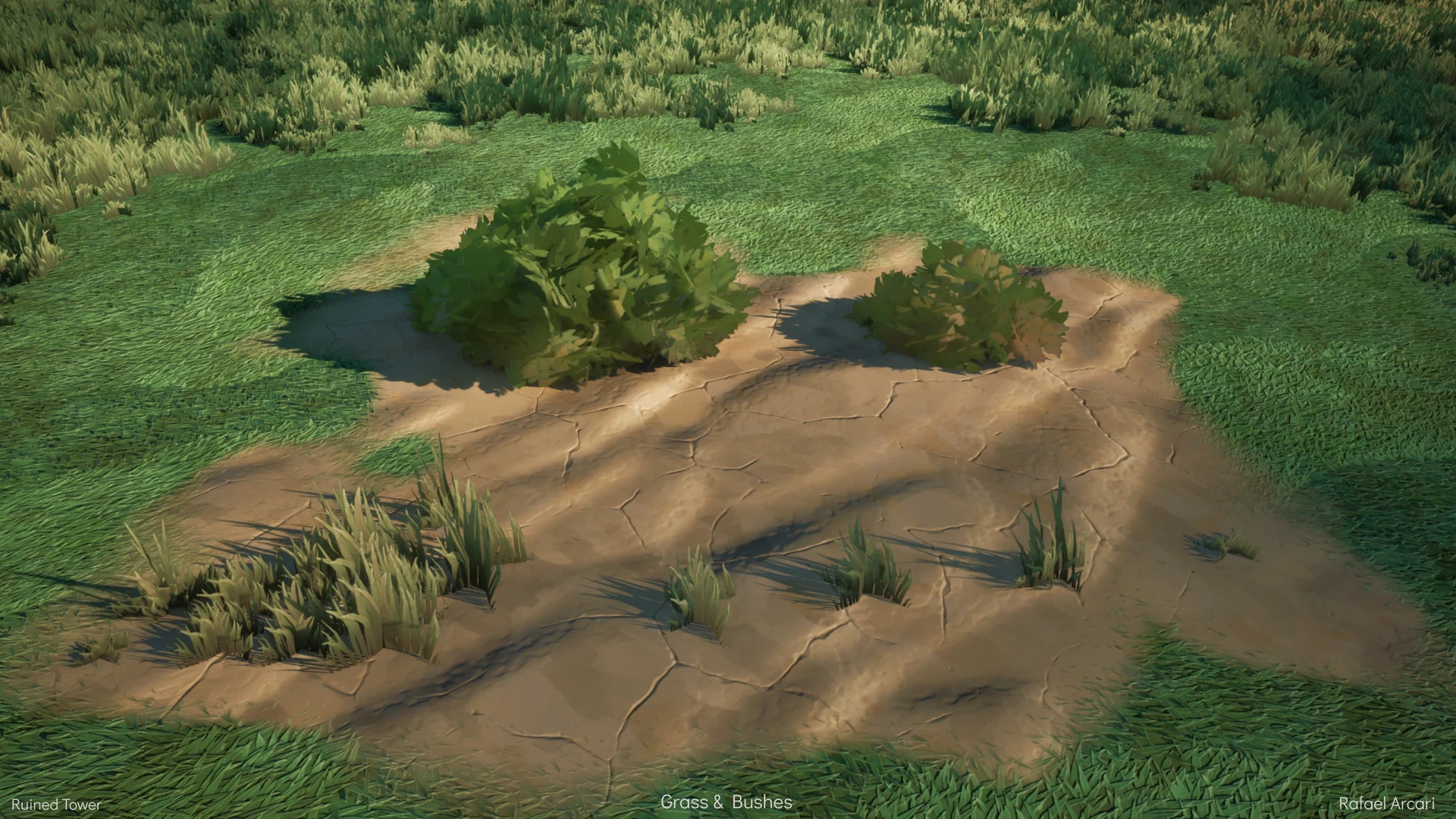 All vegetation was made using Blender and Speedtree